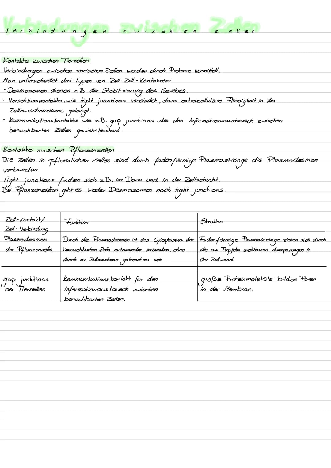 Verbindungen zwischen Zellen 