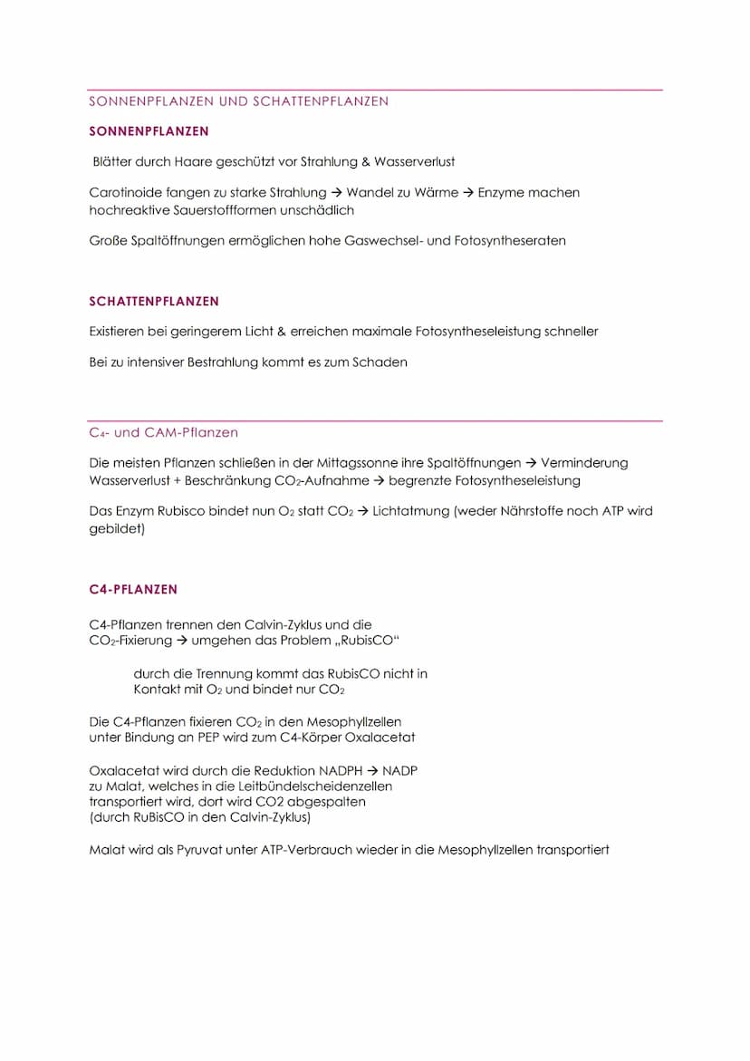 STOFFABBAU - ZELLATMUNG
Der Energiebedarf wird durch den Abbau von organischen Verbindungen (Kohlenhydrate
und Fette) gedeckt
Dissimilation 