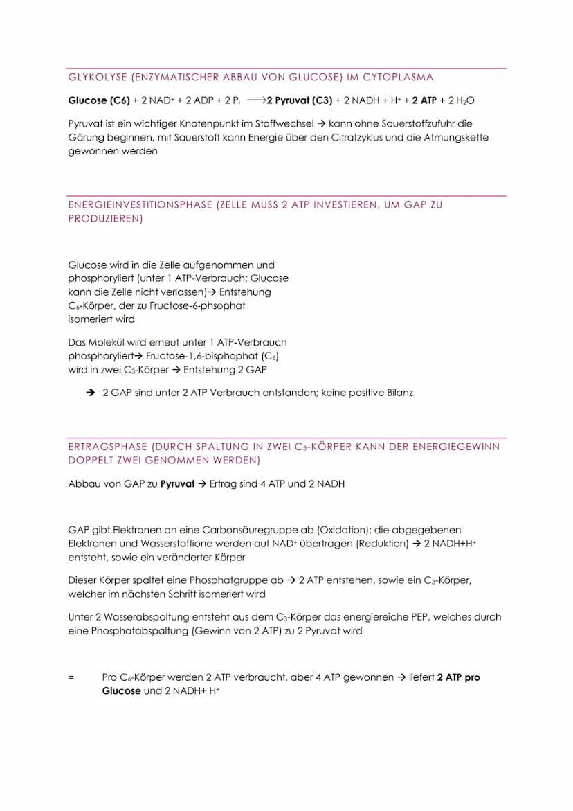 STOFFABBAU - ZELLATMUNG
Der Energiebedarf wird durch den Abbau von organischen Verbindungen (Kohlenhydrate
und Fette) gedeckt
Dissimilation 