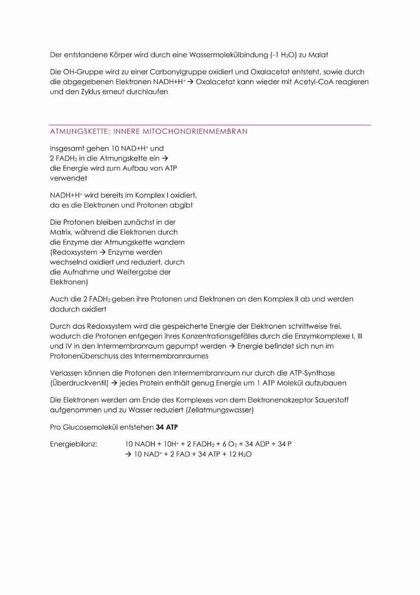 STOFFABBAU - ZELLATMUNG
Der Energiebedarf wird durch den Abbau von organischen Verbindungen (Kohlenhydrate
und Fette) gedeckt
Dissimilation 