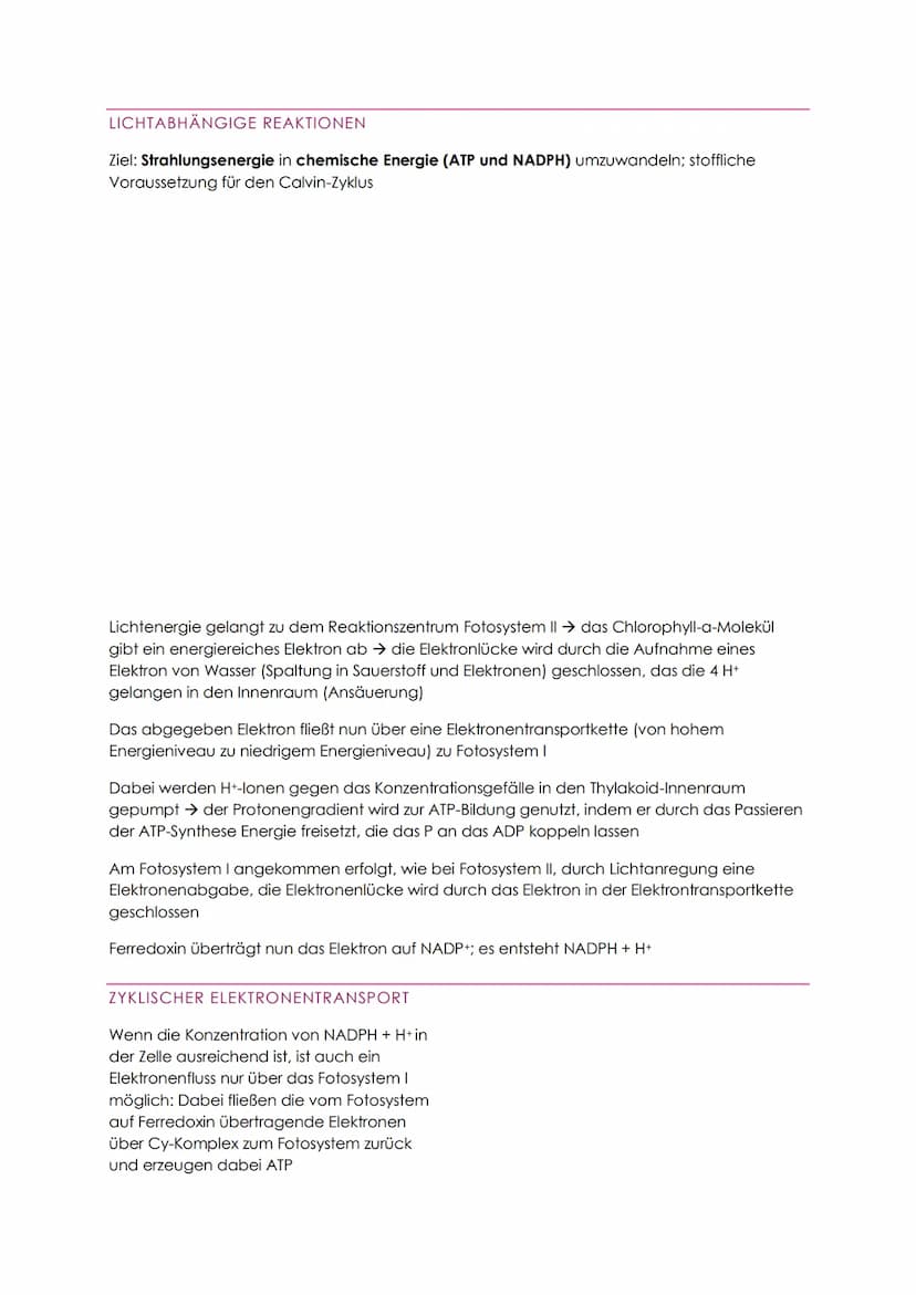STOFFABBAU - ZELLATMUNG
Der Energiebedarf wird durch den Abbau von organischen Verbindungen (Kohlenhydrate
und Fette) gedeckt
Dissimilation 