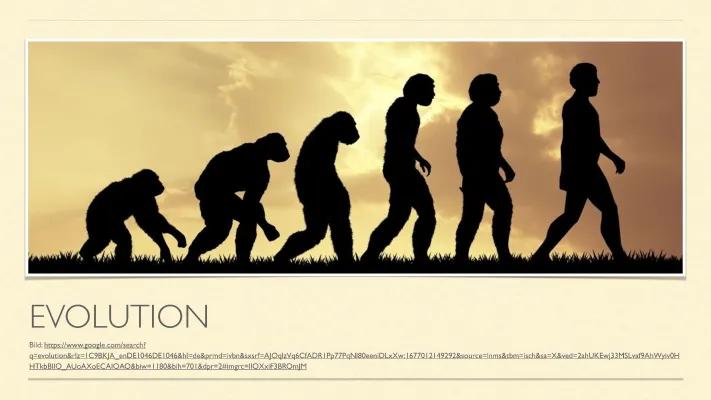 Know Evolution thumbnail