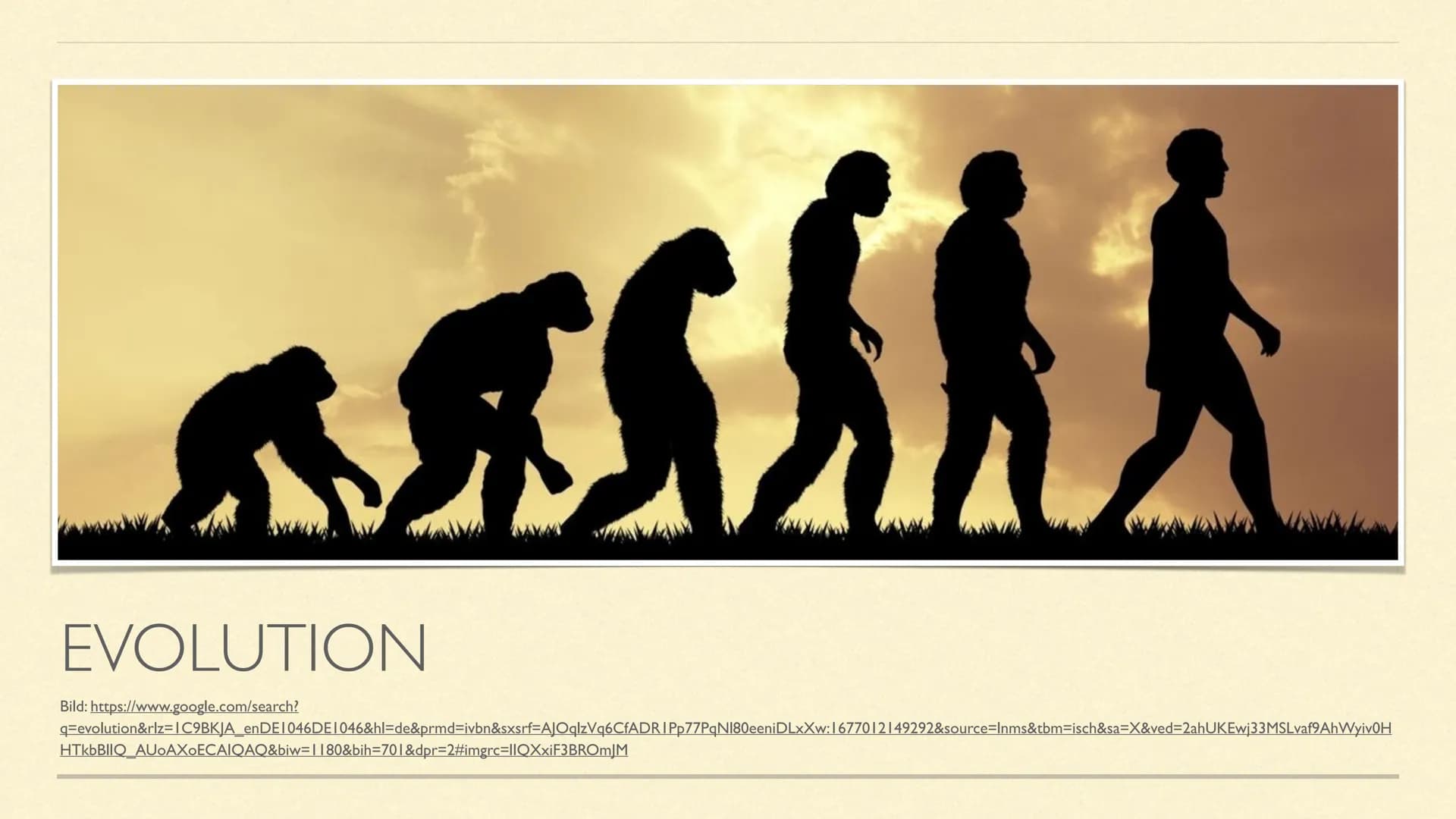 双馬克
EVOLUTION
Bild: https://www.google.com/search?
g=evolution&rlz=1C9BKJA_enDE1046DE1046&hl=de&prmd=ivbn&sxsrf=AJOqlzVq6CfADRIPp77PqNI80een