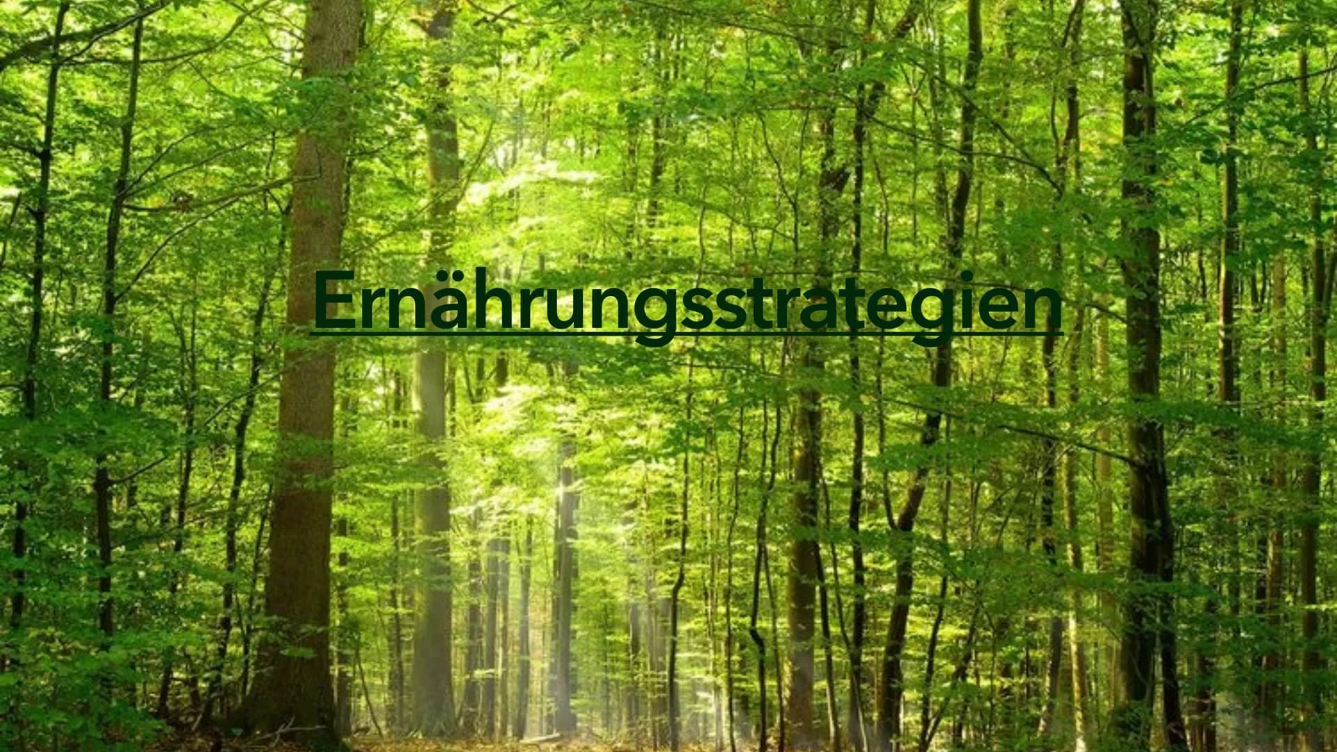 Ernährungsstrategien -
Spezialisten und Generalisten Inhaltsverzeichnis
• Definition Ernährungsstrategien
• Die Generalisten
Beispiel eines 