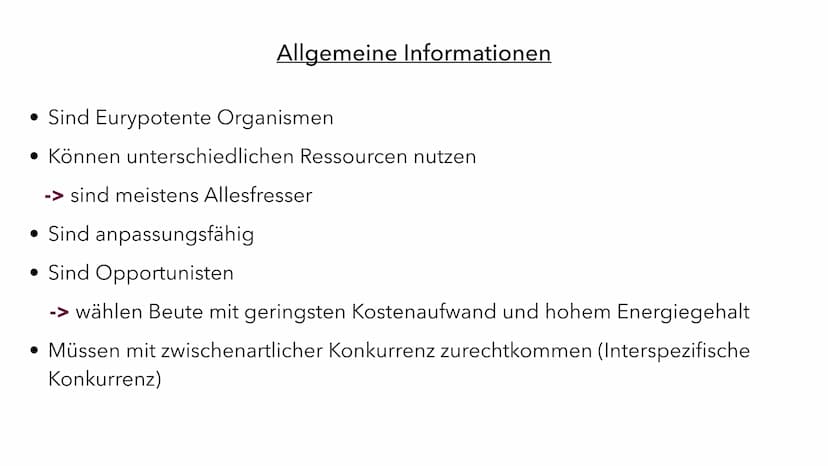 Ernährungsstrategien -
Spezialisten und Generalisten Inhaltsverzeichnis
• Definition Ernährungsstrategien
• Die Generalisten
Beispiel eines 