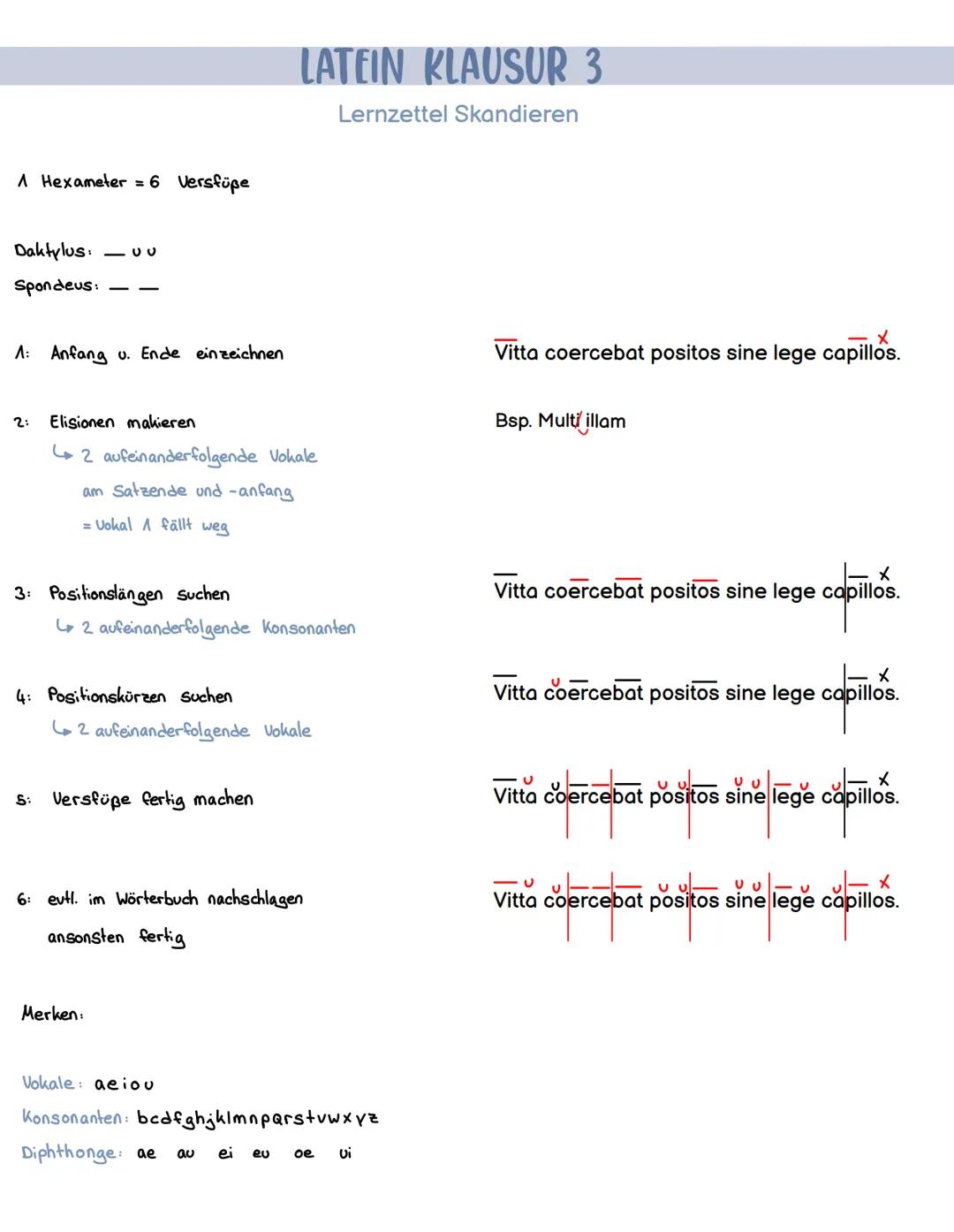 # LATEIN KLAUSUR 3

Lernzettel Skandieren

1 Hexameter = 6 Versfüpe

Daktylus: - uu

Spondeus: --

1: Anfang u. Ende einzeichnen

Vitta coer