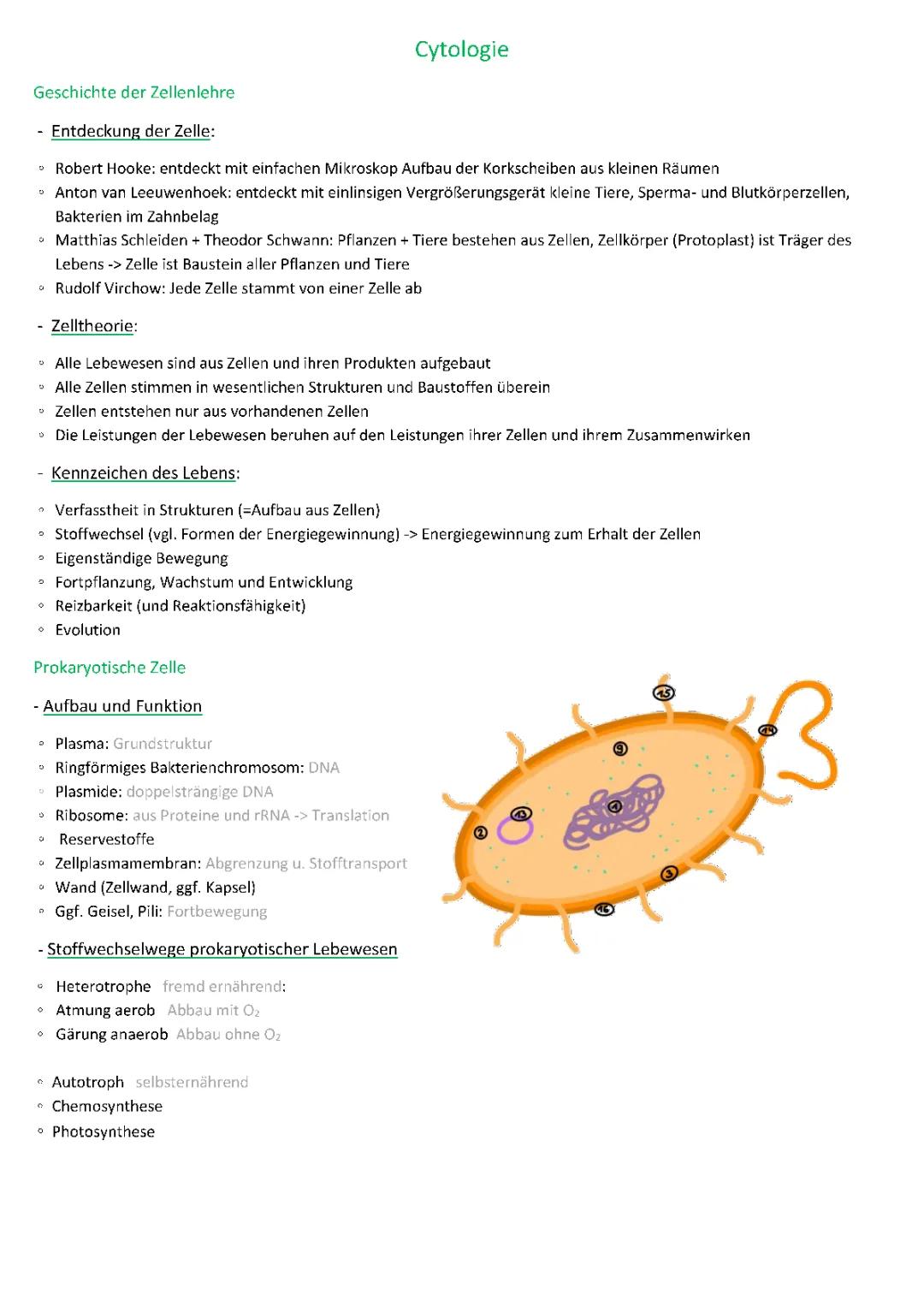 Cytologie & Enzymatik 