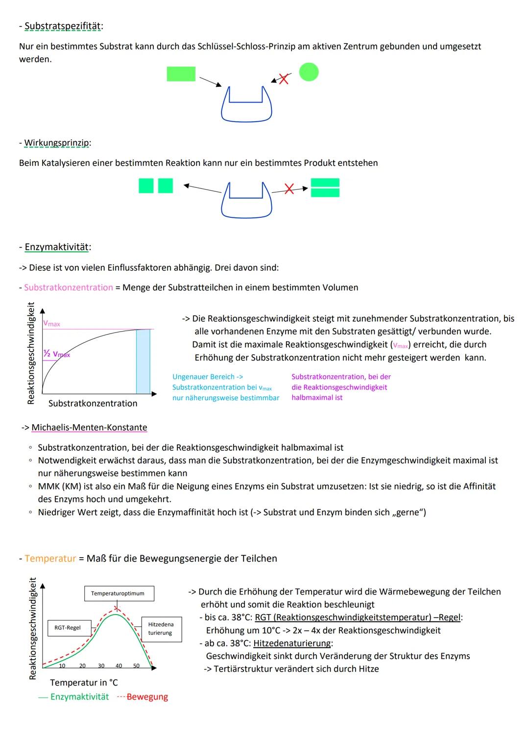 Geschichte der Zellenlehre
Entdeckung der Zelle:
• Robert Hooke: entdeckt mit einfachen Mikroskop Aufbau der Korkscheiben aus kleinen Räumen