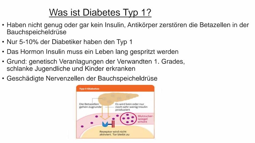 Diabetes Typ 1 und 2
01
STOP
DIABETES • Einführung
• Was ist Insulin?
●
Agenda
Diabetes Typ 1 + Symptome
Diabetes Typ 2 + Ursachen + Symptom