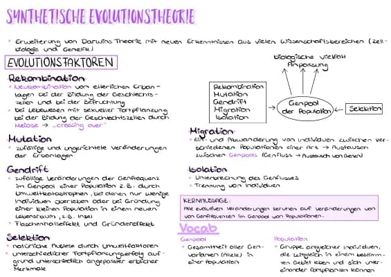 Know Synthetische Evolutionstheorie  thumbnail