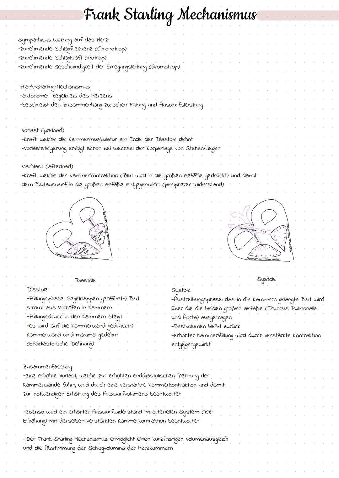 27.04.2022

# Erregungsbildung

## Erregungsbildungssystem

Sinusknoten
AV-Knoten
His-Bindel
linker Tawaraschenkel
Sinusknoten (Primärer Sch
