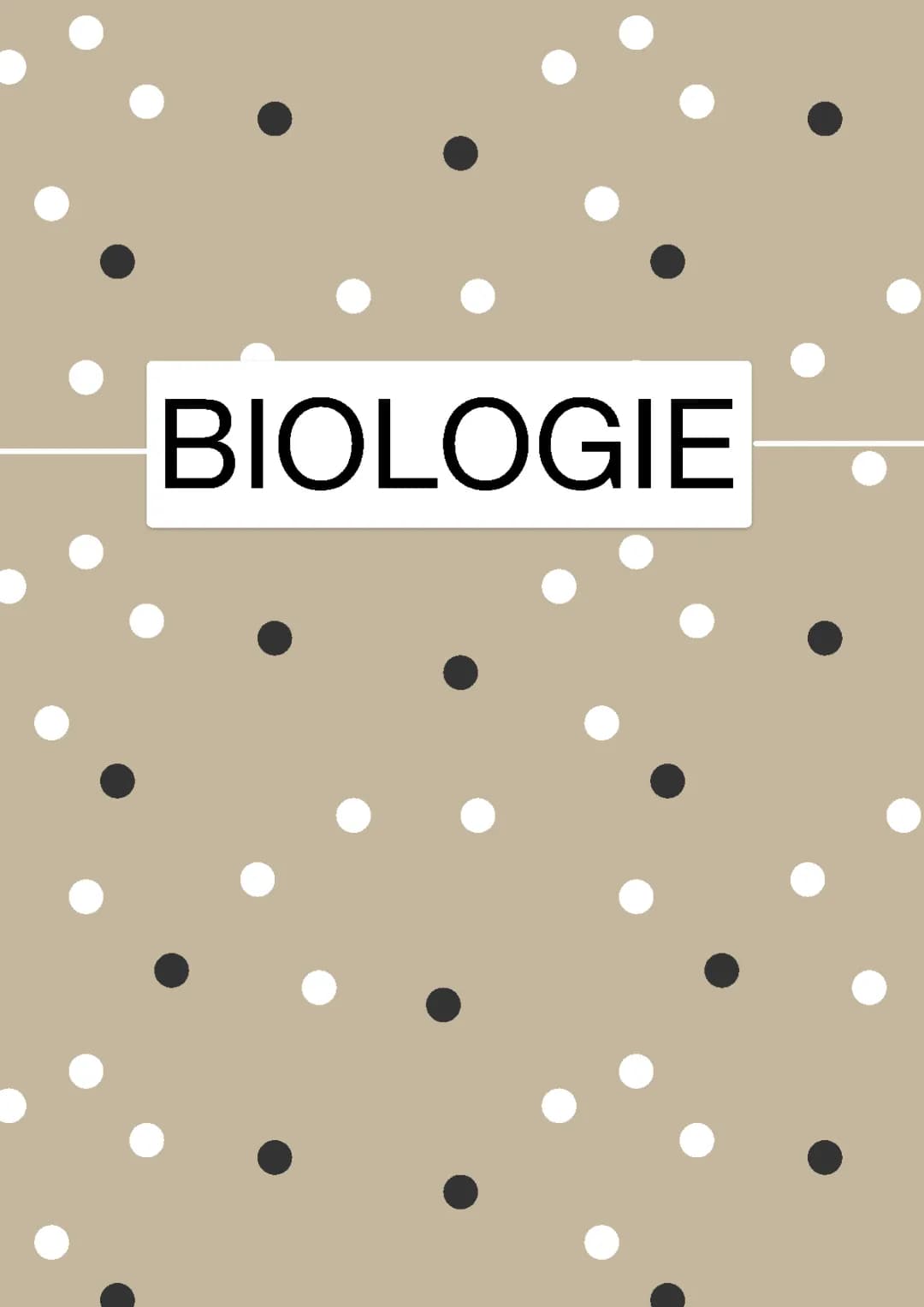 Fotosynthese - Photophosphorylierung