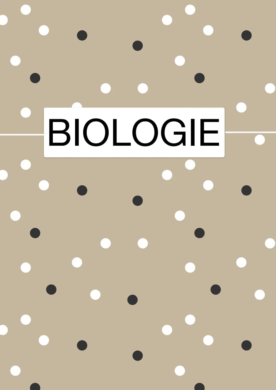 BIOLOGIE Fotosynthese Ein Stoffwechselvorgang ernährt unseren Bio-Kurs
• Edukte (Ausgangsstoffel Wasser, Licht, CO₂, Nährstoffe
Produkte (En