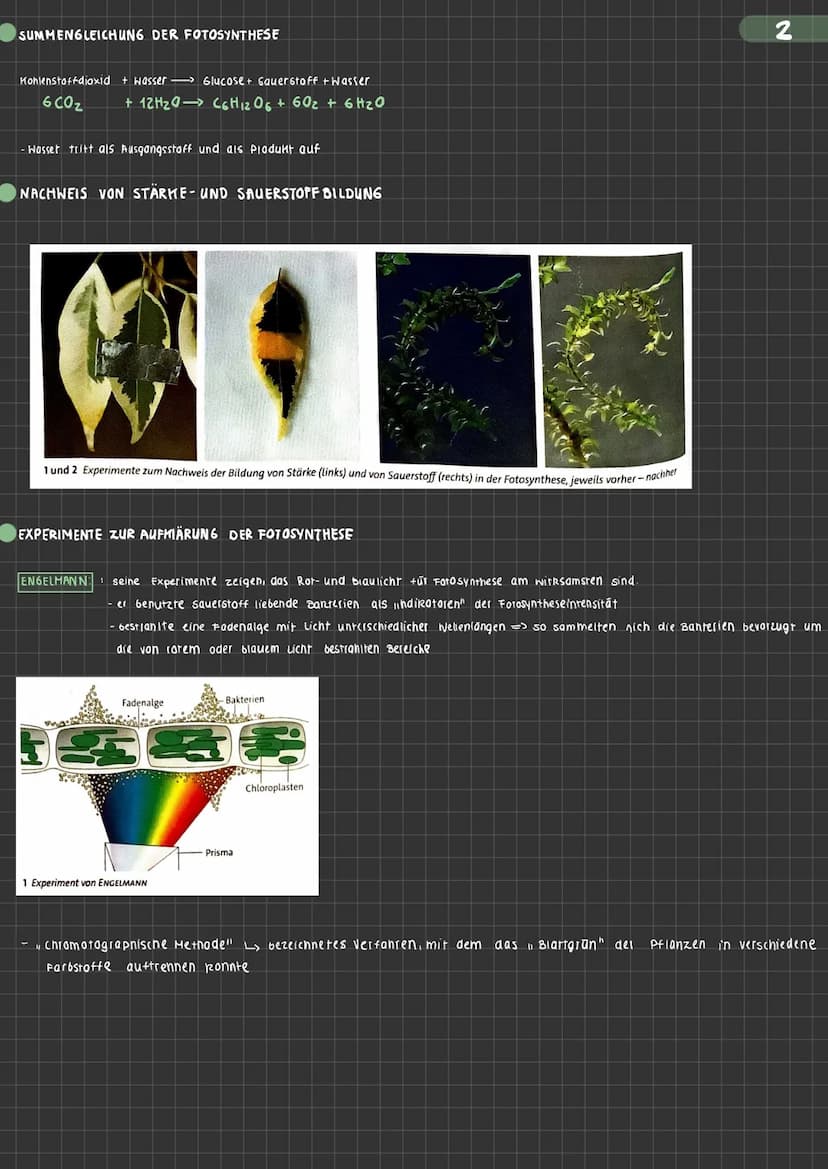 BIOLOGIE Fotosynthese Ein Stoffwechselvorgang ernährt unseren Bio-Kurs
• Edukte (Ausgangsstoffel Wasser, Licht, CO₂, Nährstoffe
Produkte (En