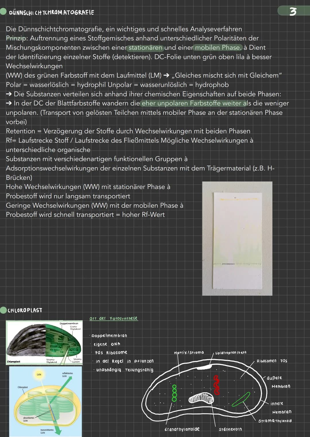 BIOLOGIE Fotosynthese Ein Stoffwechselvorgang ernährt unseren Bio-Kurs
• Edukte (Ausgangsstoffel Wasser, Licht, CO₂, Nährstoffe
Produkte (En