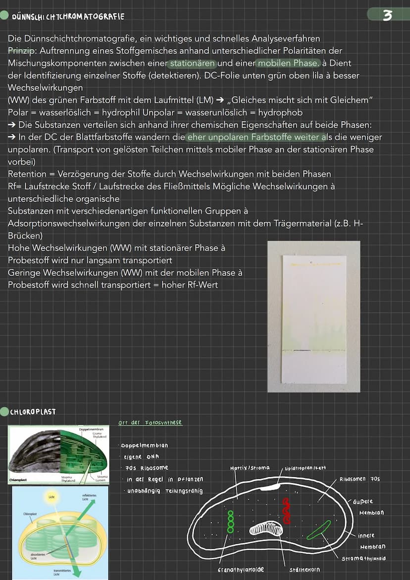 BIOLOGIE Fotosynthese Ein Stoffwechselvorgang ernährt unseren Bio-Kurs
• Edukte (Ausgangsstoffel Wasser, Licht, CO₂, Nährstoffe
Produkte (En