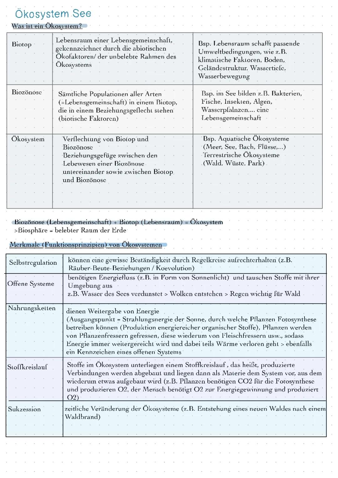 Ökosystem See einfach erklärt - Unterrichtsmaterial & PDF