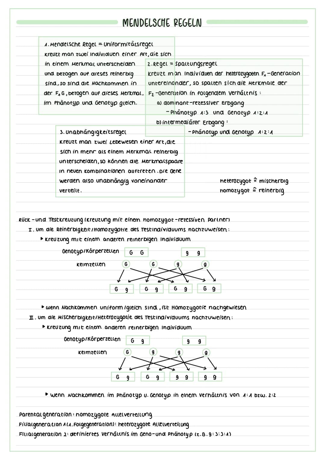 FORMEN DER VERMEHRUNG
vegetative lungeschlechtliche) vermehrung:
▸ Zellteilung von Körperzellen zur Erneuerung
(2.8 des Gewebes/Wachstums et