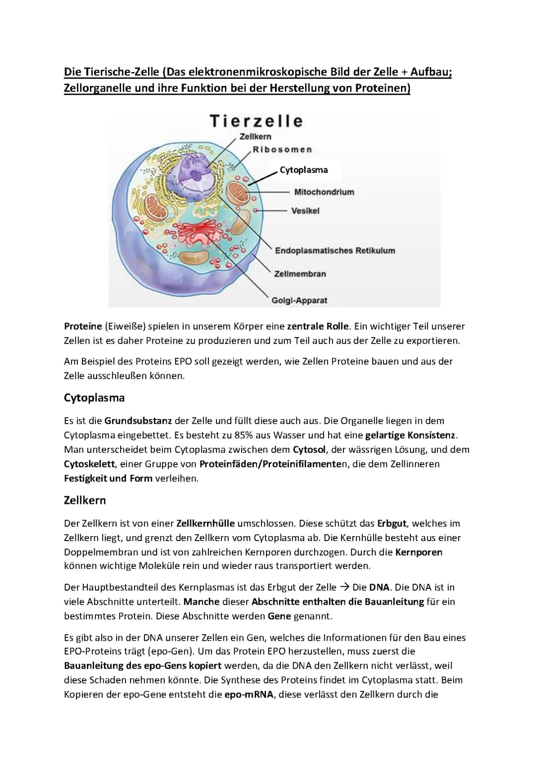 Die Zelle 