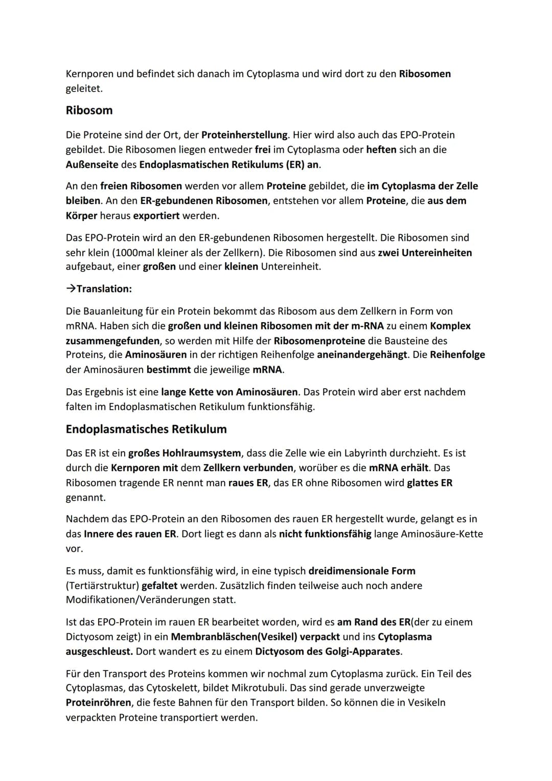 Die Tierische-Zelle (Das elektronenmikroskopische Bild der Zelle + Aufbau;
Zellorganelle und ihre Funktion bei der Herstellung von Proteinen