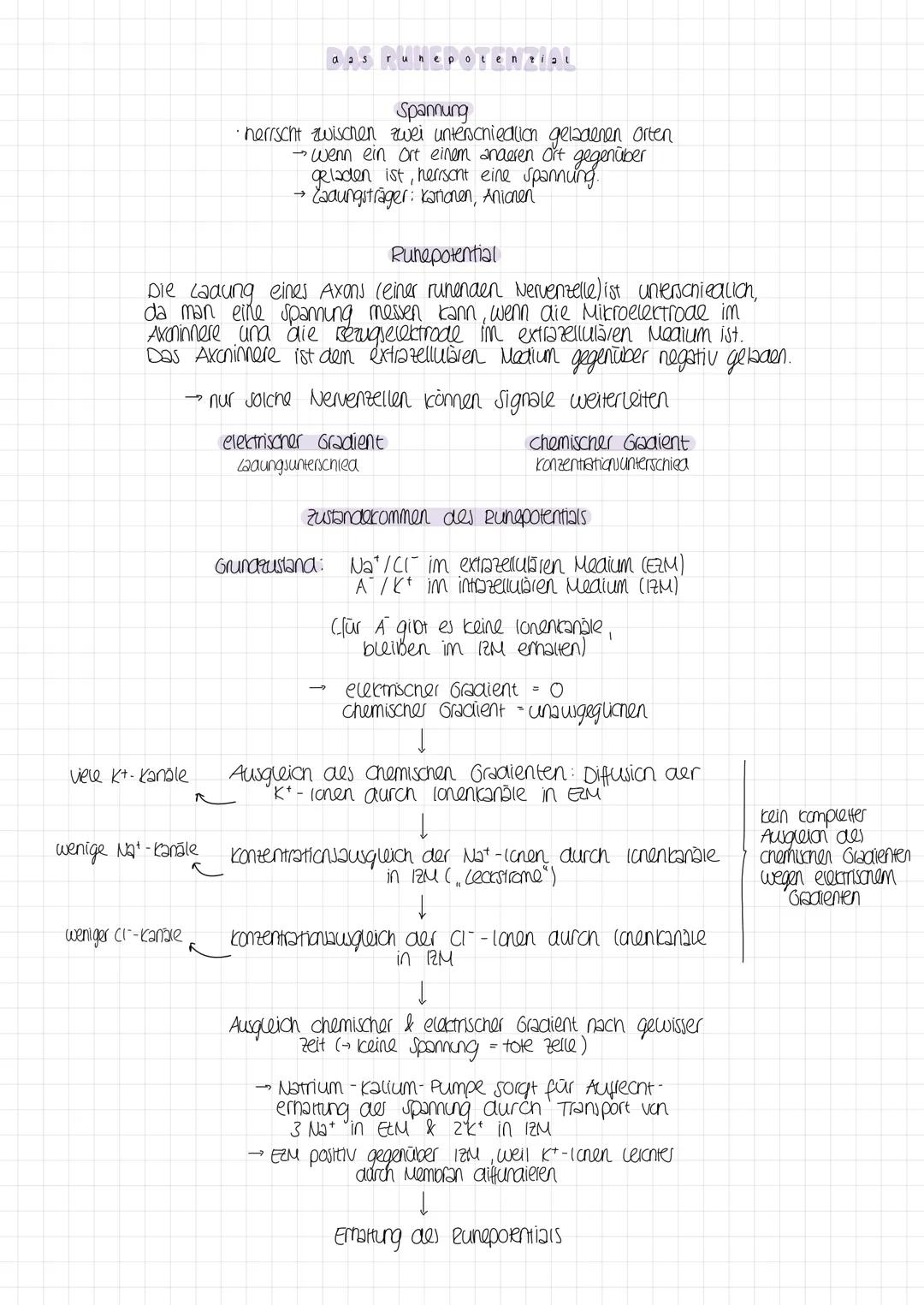 13 - neuro biologie

Reiz
physikalische oder
chemische Einwirtung

das reiz-reaktions-schema

Reaktion
Muskelbewegung au esultat
des elektri