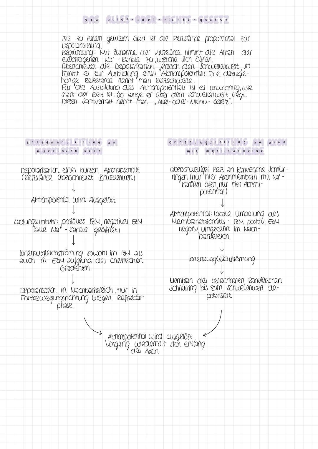 13 - neuro biologie

Reiz
physikalische oder
chemische Einwirtung

das reiz-reaktions-schema

Reaktion
Muskelbewegung au esultat
des elektri
