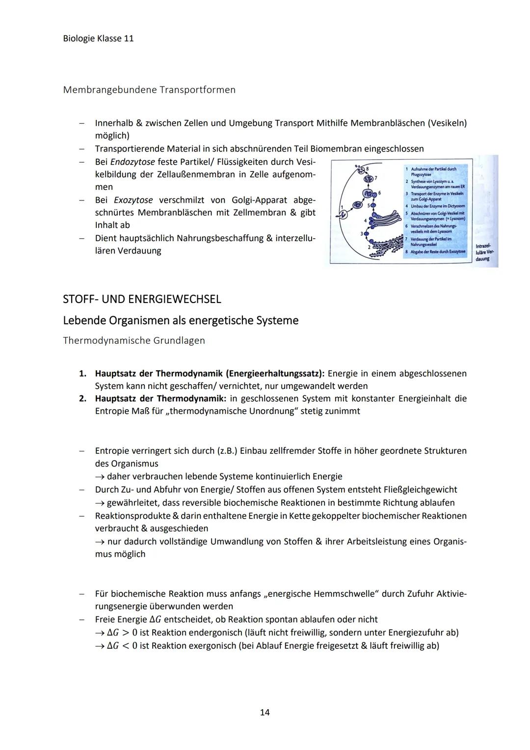 Biologie Klasse 11
ZELLEN UND STOFFWECHSEL
Organismus-ebenen
Die Gesamtfunktion eines Organismus wird mithilfe der Funktion verschiedener Ze