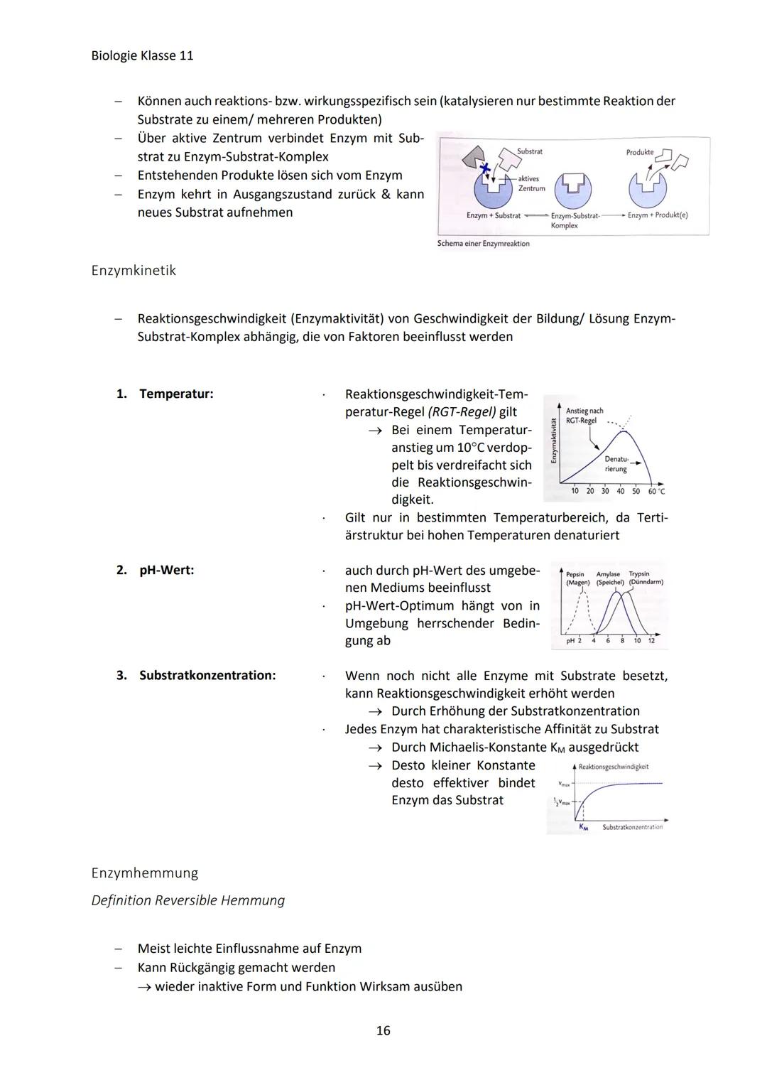 Biologie Klasse 11
ZELLEN UND STOFFWECHSEL
Organismus-ebenen
Die Gesamtfunktion eines Organismus wird mithilfe der Funktion verschiedener Ze