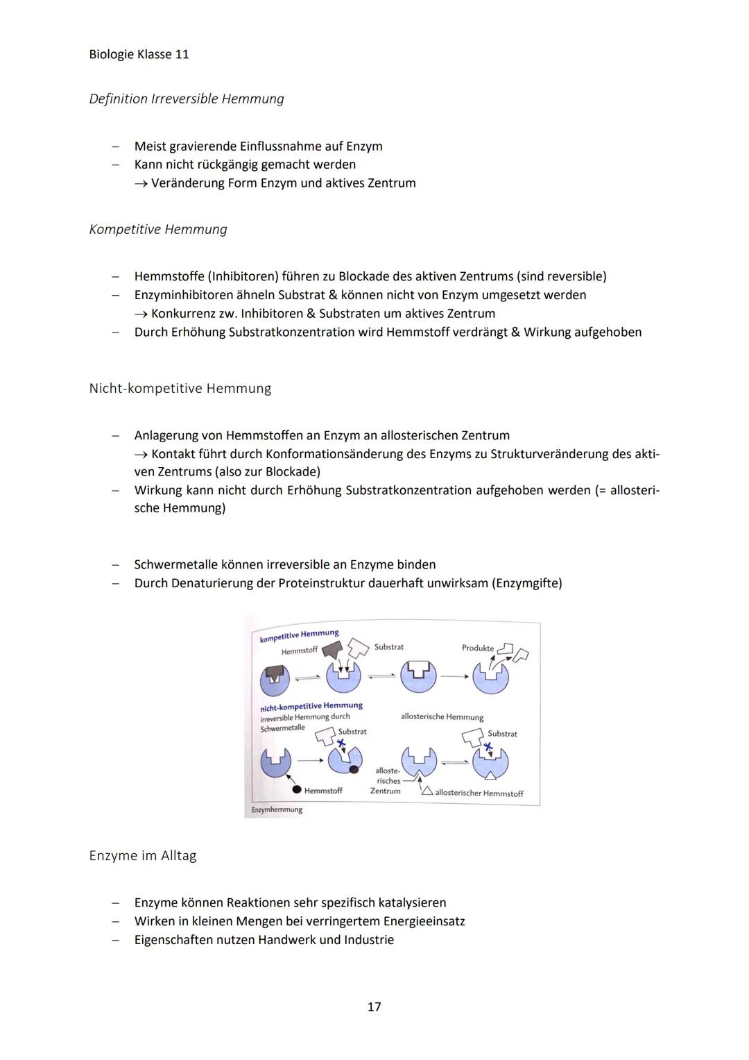 Biologie Klasse 11
ZELLEN UND STOFFWECHSEL
Organismus-ebenen
Die Gesamtfunktion eines Organismus wird mithilfe der Funktion verschiedener Ze