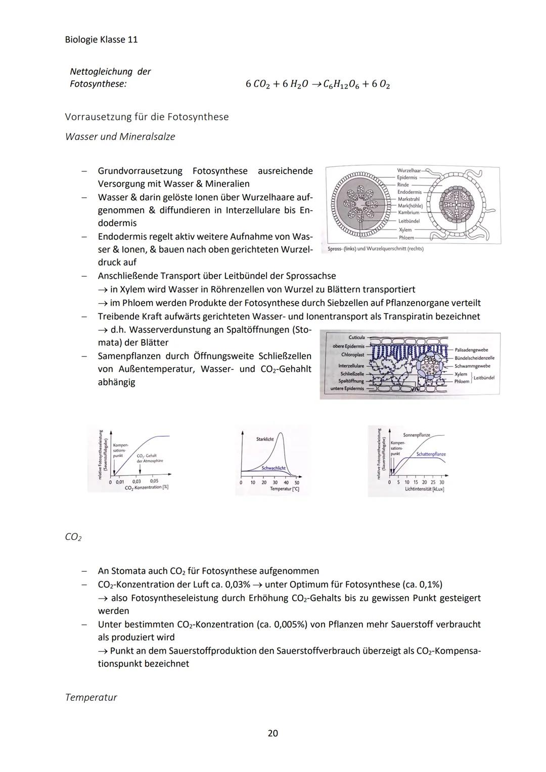 Biologie Klasse 11
ZELLEN UND STOFFWECHSEL
Organismus-ebenen
Die Gesamtfunktion eines Organismus wird mithilfe der Funktion verschiedener Ze