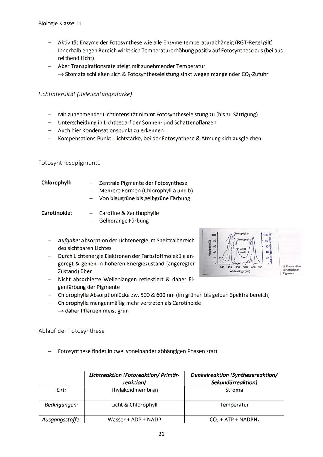 Biologie Klasse 11
ZELLEN UND STOFFWECHSEL
Organismus-ebenen
Die Gesamtfunktion eines Organismus wird mithilfe der Funktion verschiedener Ze