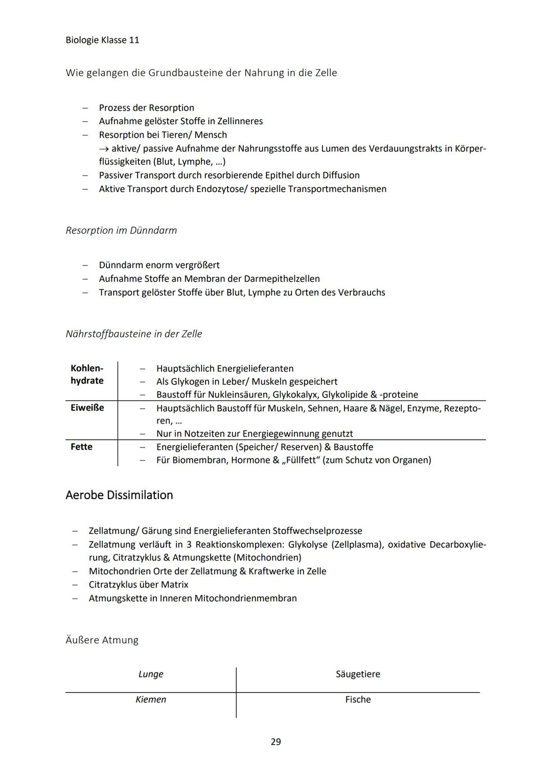 Biologie Klasse 11
ZELLEN UND STOFFWECHSEL
Organismus-ebenen
Die Gesamtfunktion eines Organismus wird mithilfe der Funktion verschiedener Ze