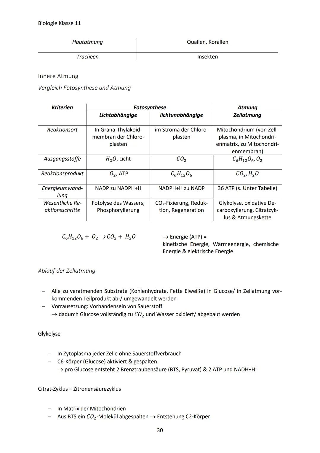 Biologie Klasse 11
ZELLEN UND STOFFWECHSEL
Organismus-ebenen
Die Gesamtfunktion eines Organismus wird mithilfe der Funktion verschiedener Ze