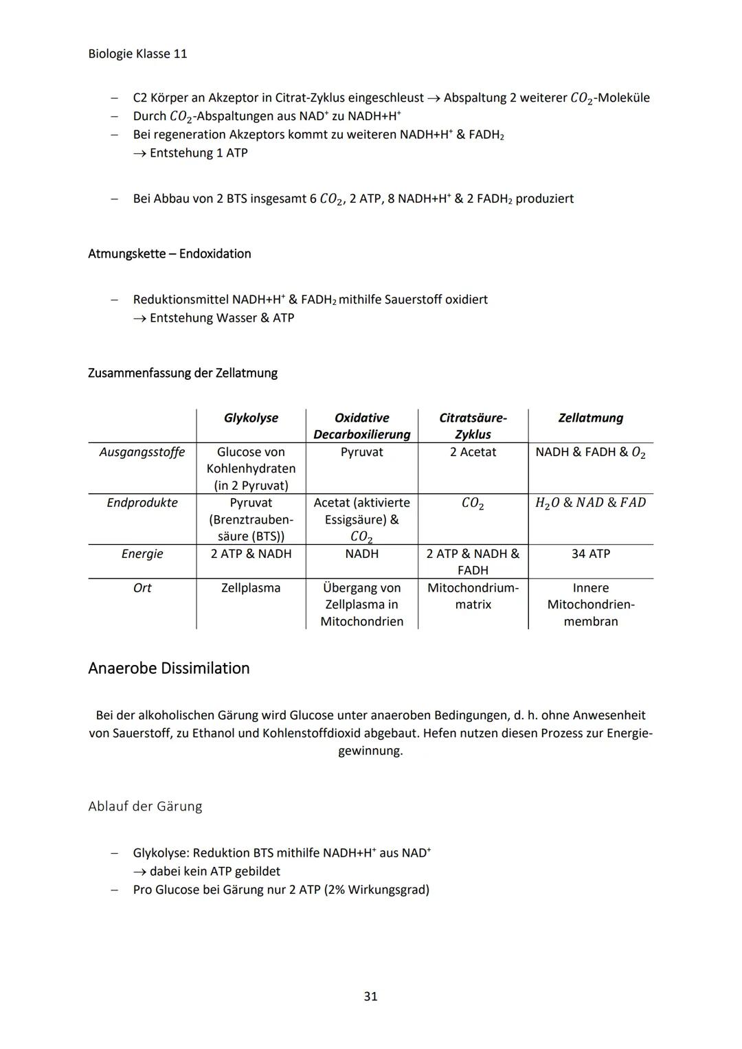 Biologie Klasse 11
ZELLEN UND STOFFWECHSEL
Organismus-ebenen
Die Gesamtfunktion eines Organismus wird mithilfe der Funktion verschiedener Ze