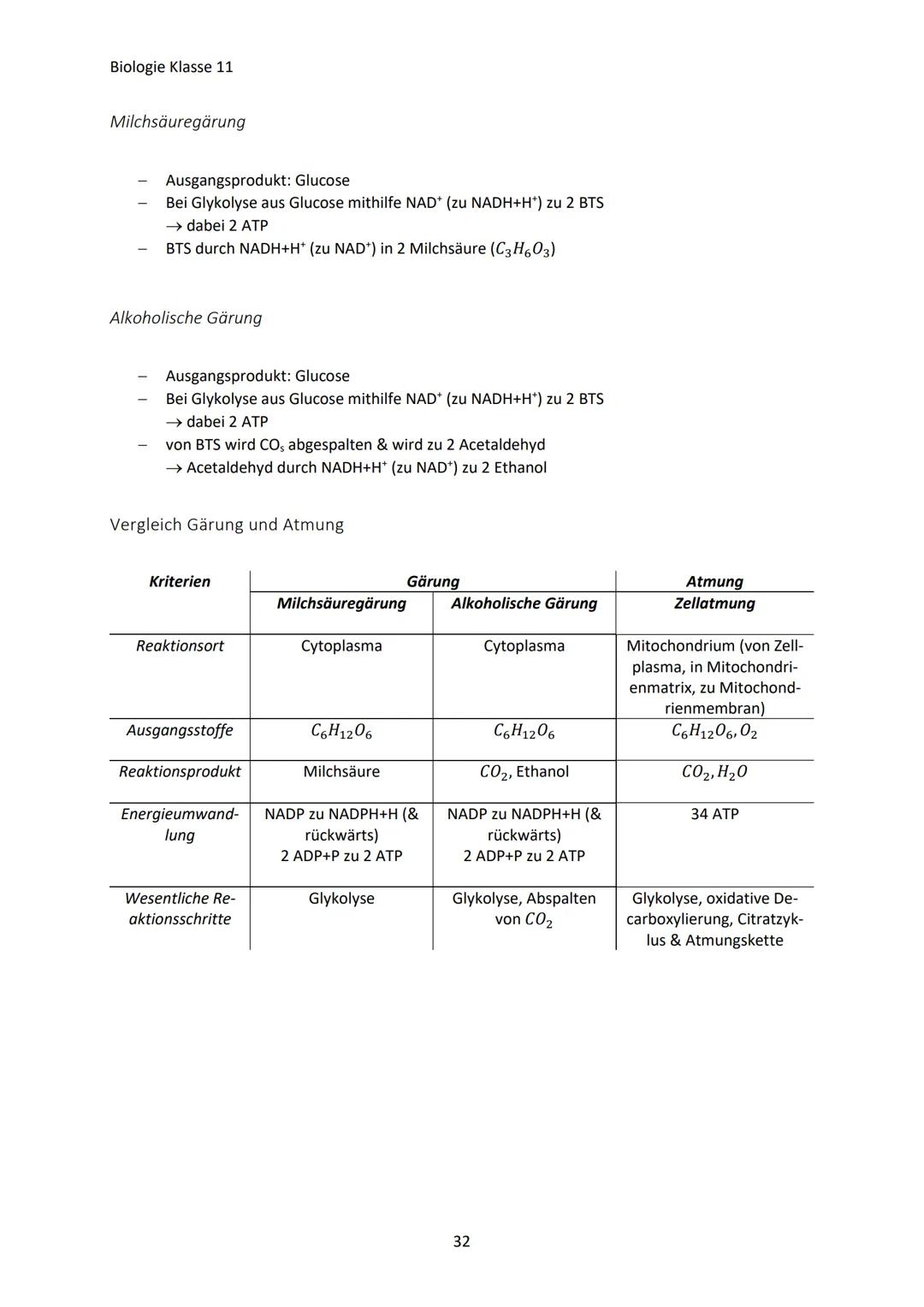 Biologie Klasse 11
ZELLEN UND STOFFWECHSEL
Organismus-ebenen
Die Gesamtfunktion eines Organismus wird mithilfe der Funktion verschiedener Ze