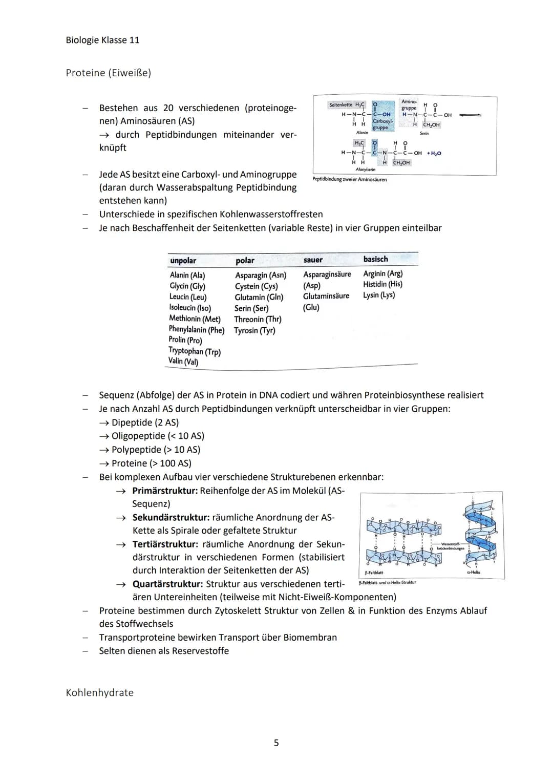 Biologie Klasse 11
ZELLEN UND STOFFWECHSEL
Organismus-ebenen
Die Gesamtfunktion eines Organismus wird mithilfe der Funktion verschiedener Ze