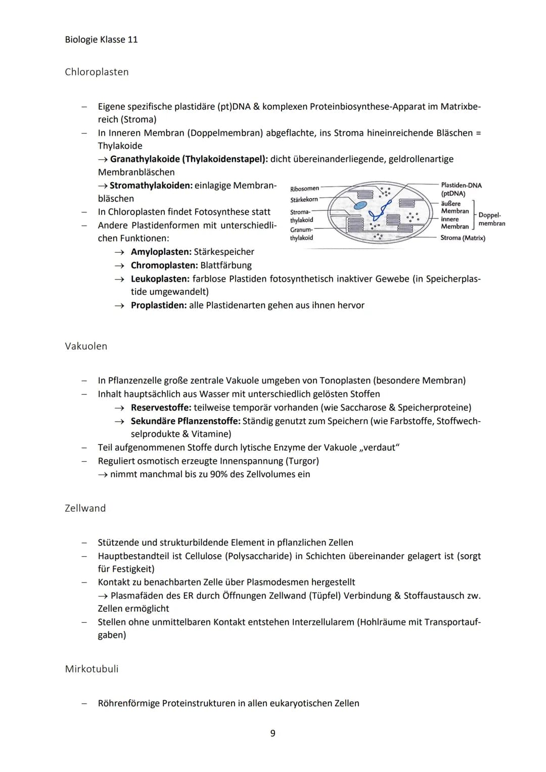 Biologie Klasse 11
ZELLEN UND STOFFWECHSEL
Organismus-ebenen
Die Gesamtfunktion eines Organismus wird mithilfe der Funktion verschiedener Ze