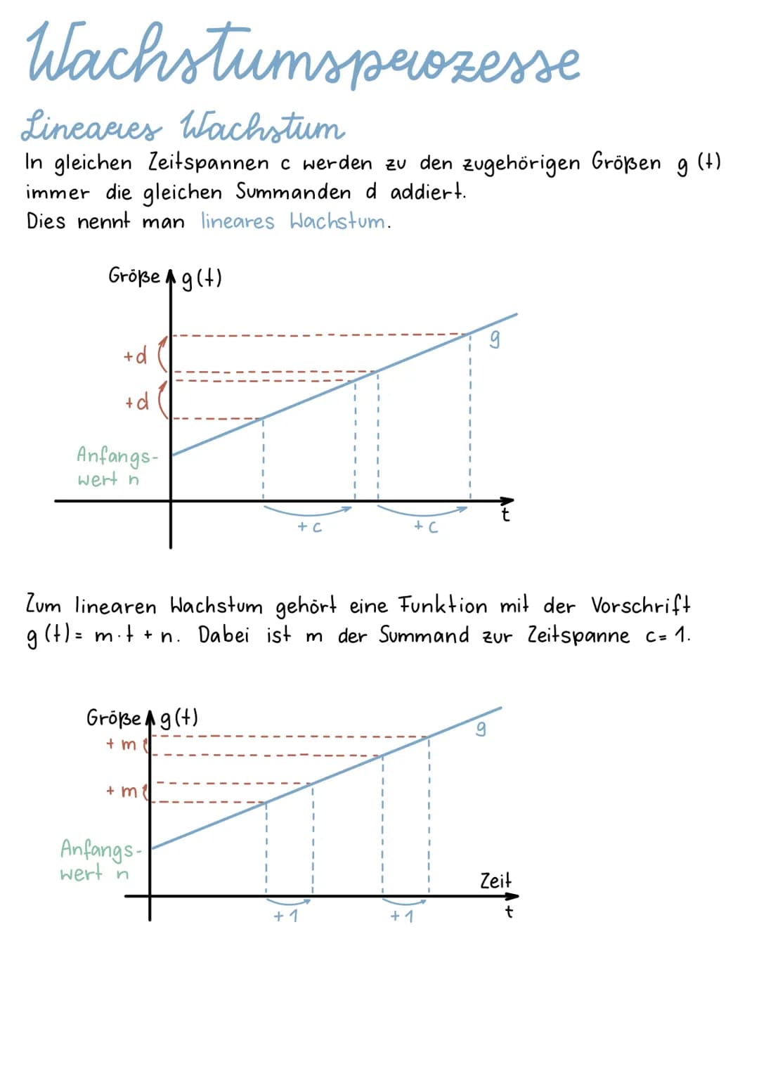 Wachstumsprozesse
Lineages Wachstum
In gleichen Zeitspannen c werden zu den zugehörigen Größen g (t)
immer die gleichen Summanden d addiert.