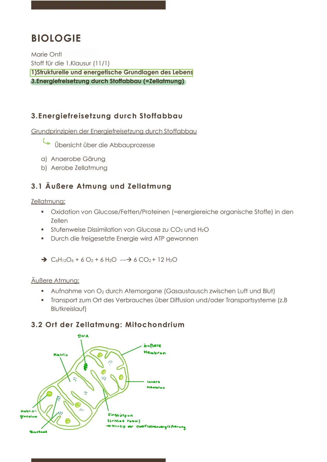  BIOLOGIE
Marie Ontl
Stoff für die 1.Klausur (11/1)
1)Strukturelle und energetische Grundlagen des Lebens
3.Energiefreisetzung durch Stoffab