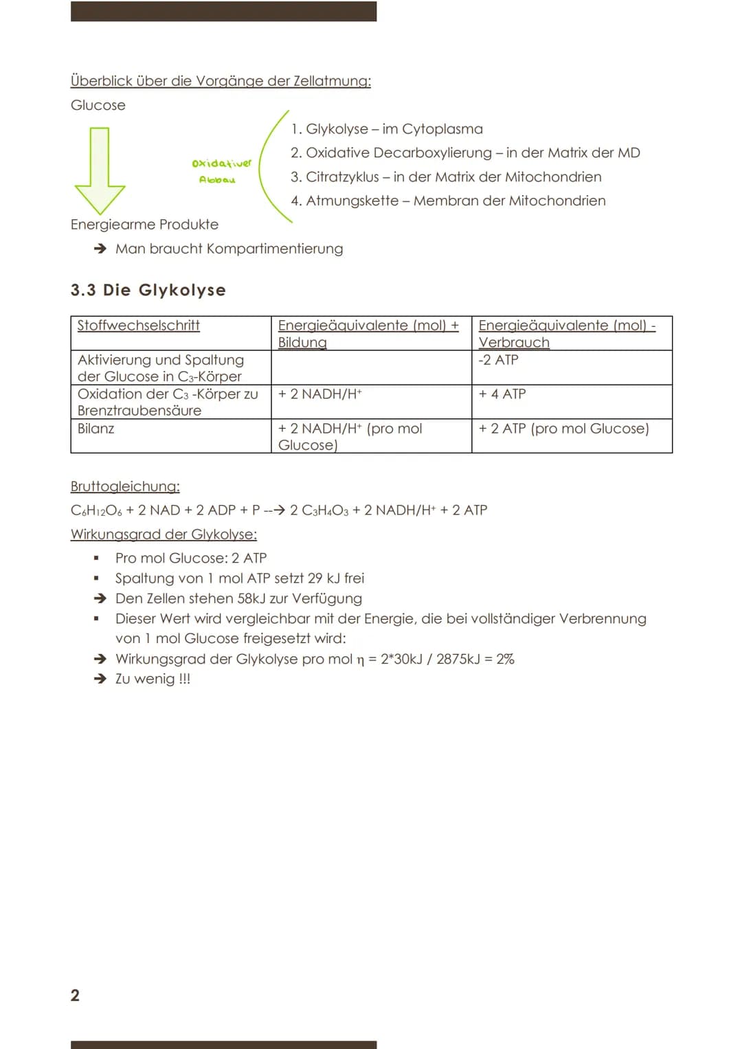  BIOLOGIE
Marie Ontl
Stoff für die 1.Klausur (11/1)
1)Strukturelle und energetische Grundlagen des Lebens
3.Energiefreisetzung durch Stoffab