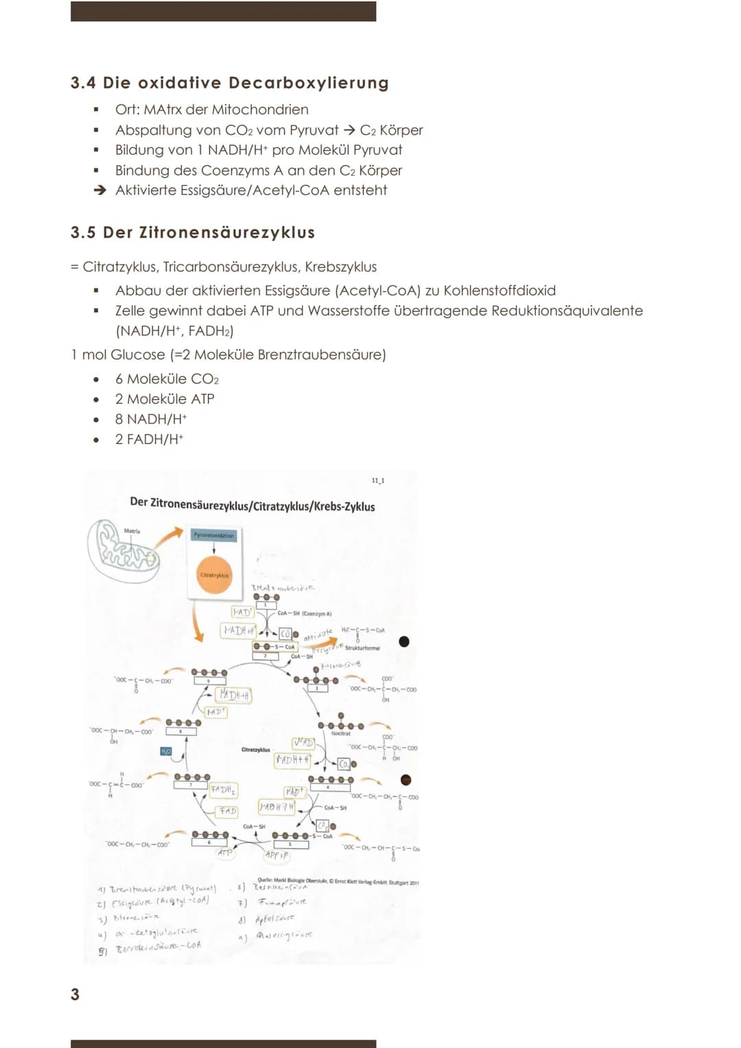  BIOLOGIE
Marie Ontl
Stoff für die 1.Klausur (11/1)
1)Strukturelle und energetische Grundlagen des Lebens
3.Energiefreisetzung durch Stoffab