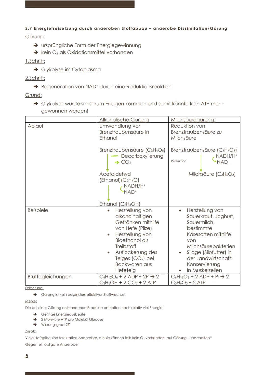  BIOLOGIE
Marie Ontl
Stoff für die 1.Klausur (11/1)
1)Strukturelle und energetische Grundlagen des Lebens
3.Energiefreisetzung durch Stoffab