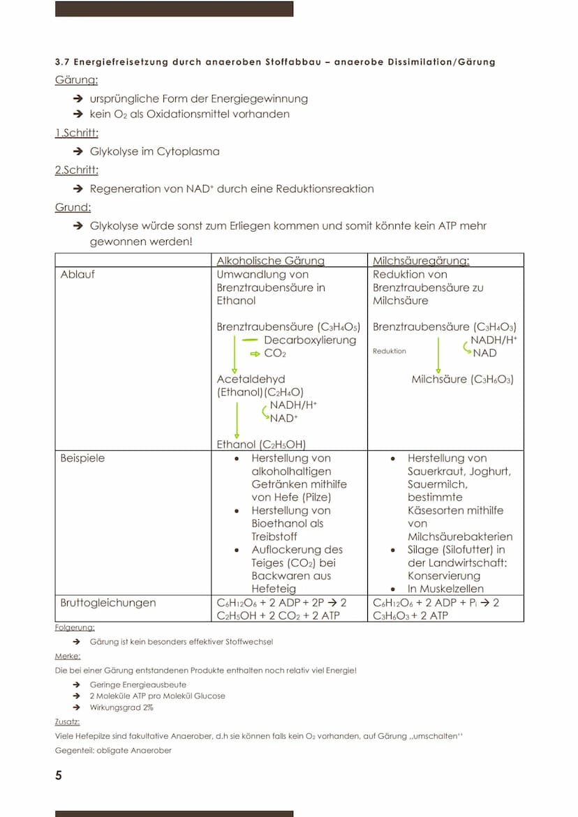  BIOLOGIE
Marie Ontl
Stoff für die 1.Klausur (11/1)
1)Strukturelle und energetische Grundlagen des Lebens
3.Energiefreisetzung durch Stoffab