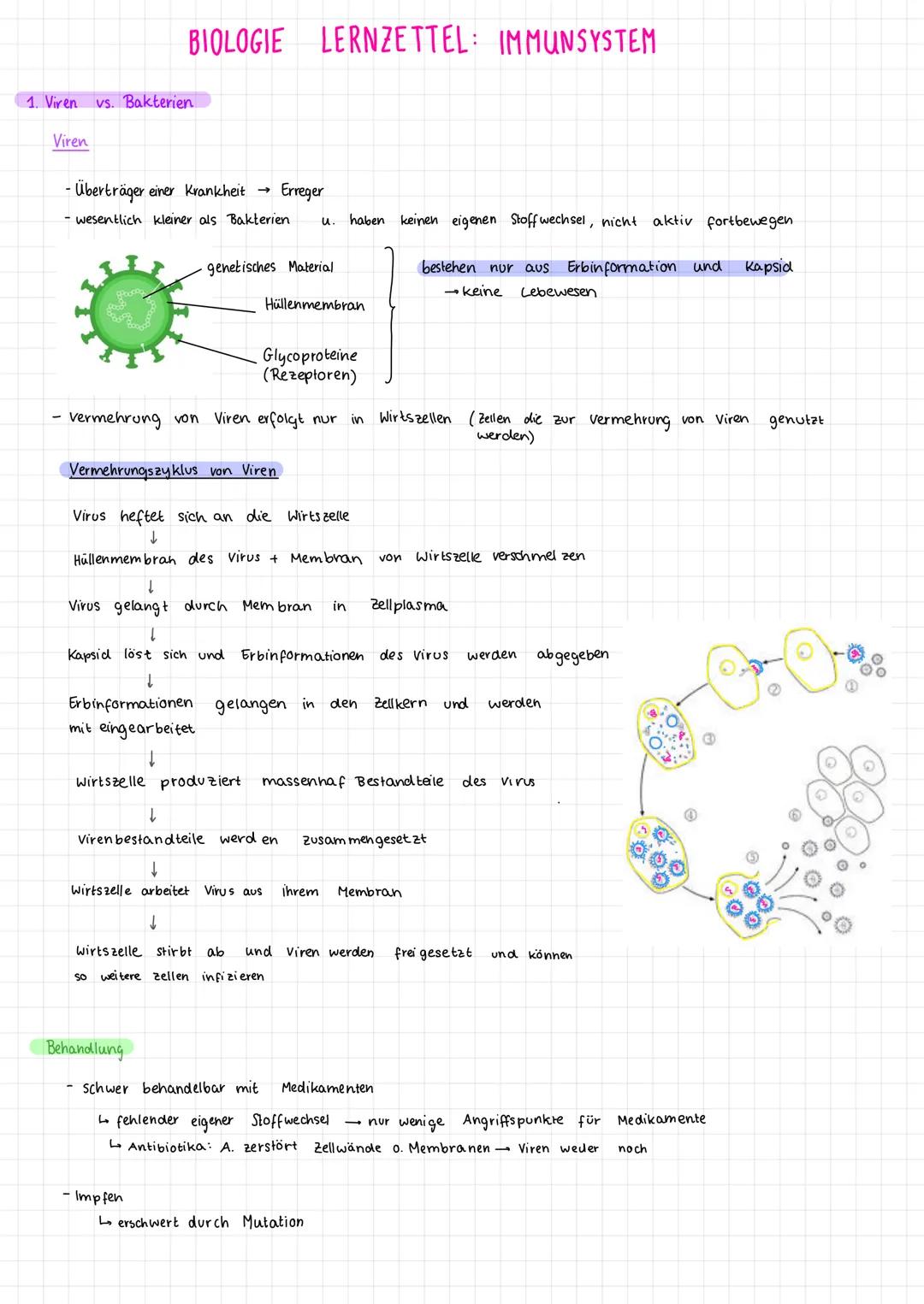 1. Viren vs. Bakterien
Viren
- Überträger einer Krankheit
Erreger
- wesentlich kleiner als Bakterien u. haben keinen eigenen Stoff wechsel, 