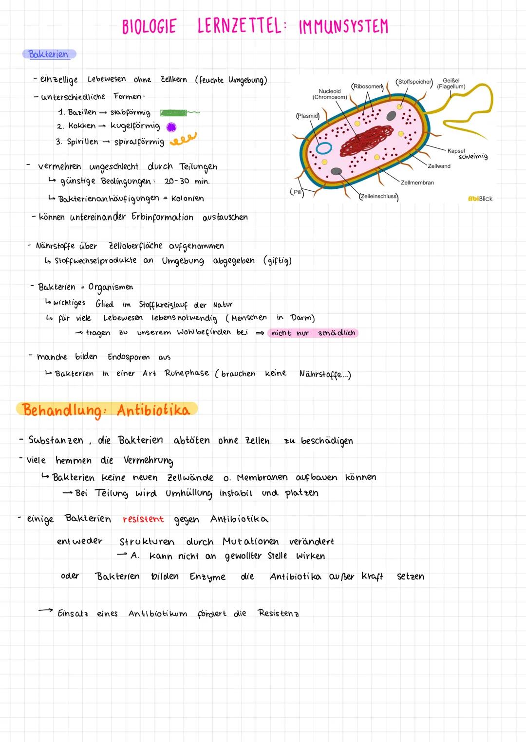 1. Viren vs. Bakterien
Viren
- Überträger einer Krankheit
Erreger
- wesentlich kleiner als Bakterien u. haben keinen eigenen Stoff wechsel, 