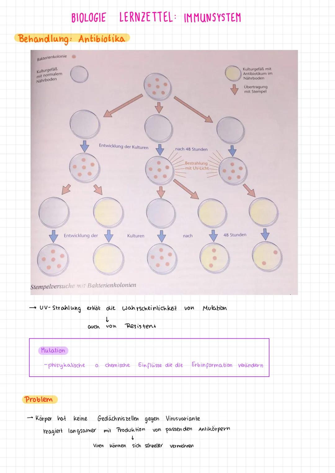 1. Viren vs. Bakterien
Viren
- Überträger einer Krankheit
Erreger
- wesentlich kleiner als Bakterien u. haben keinen eigenen Stoff wechsel, 