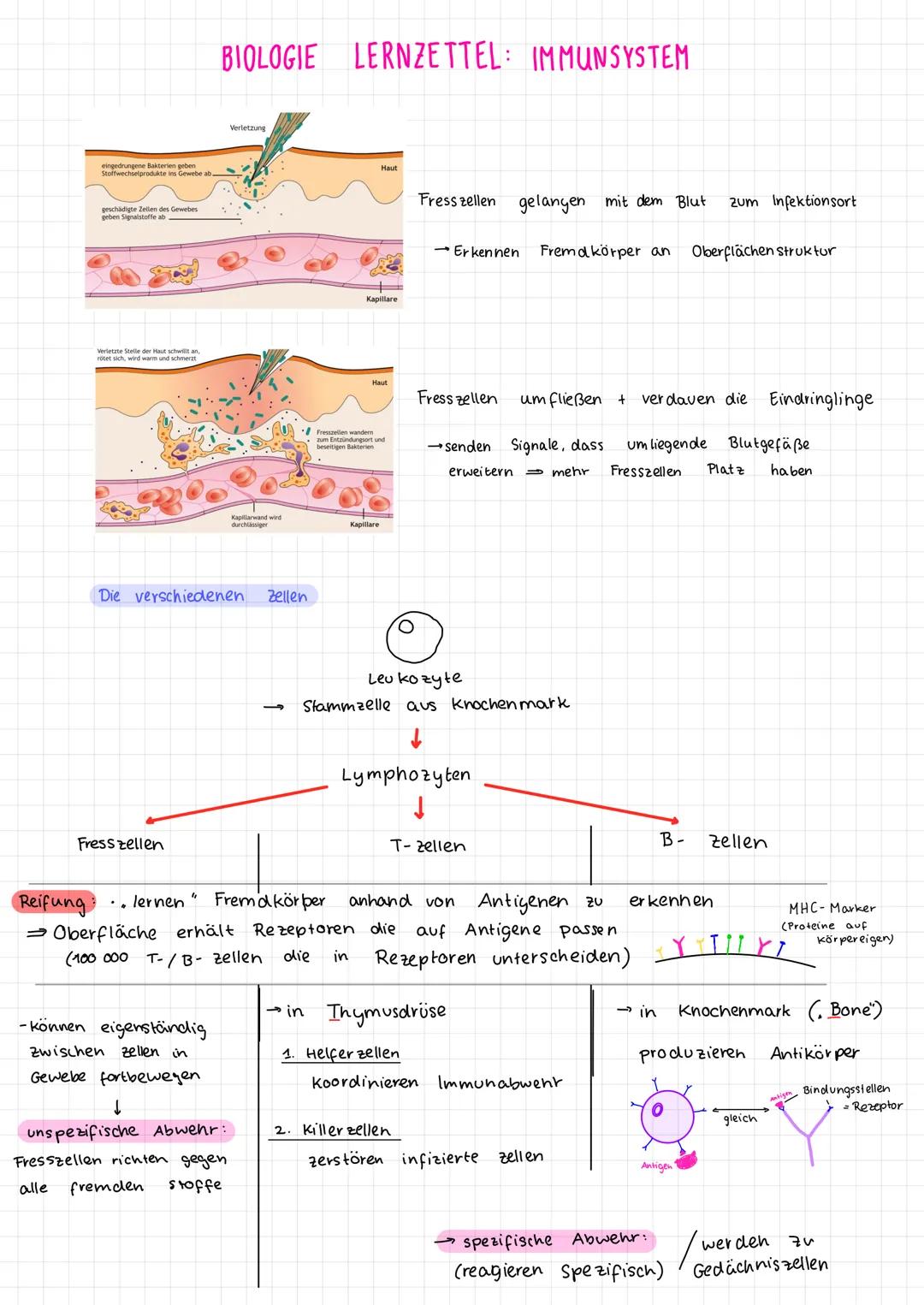 1. Viren vs. Bakterien
Viren
- Überträger einer Krankheit
Erreger
- wesentlich kleiner als Bakterien u. haben keinen eigenen Stoff wechsel, 