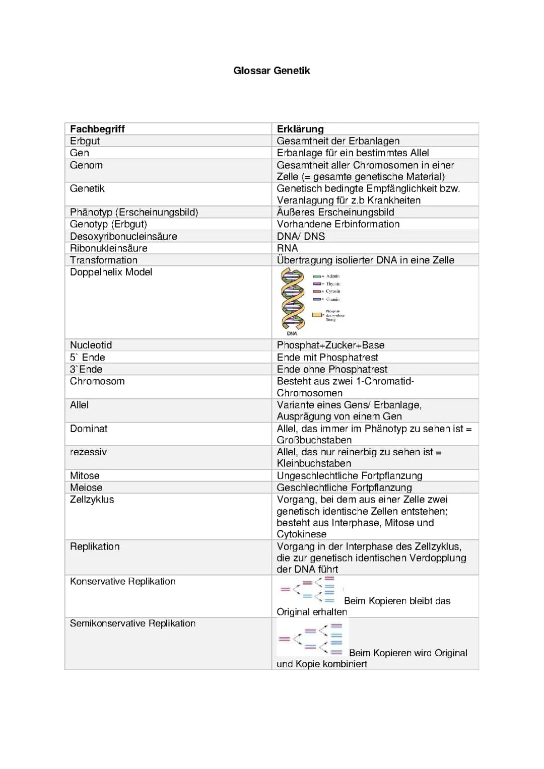 Glossar Genetik