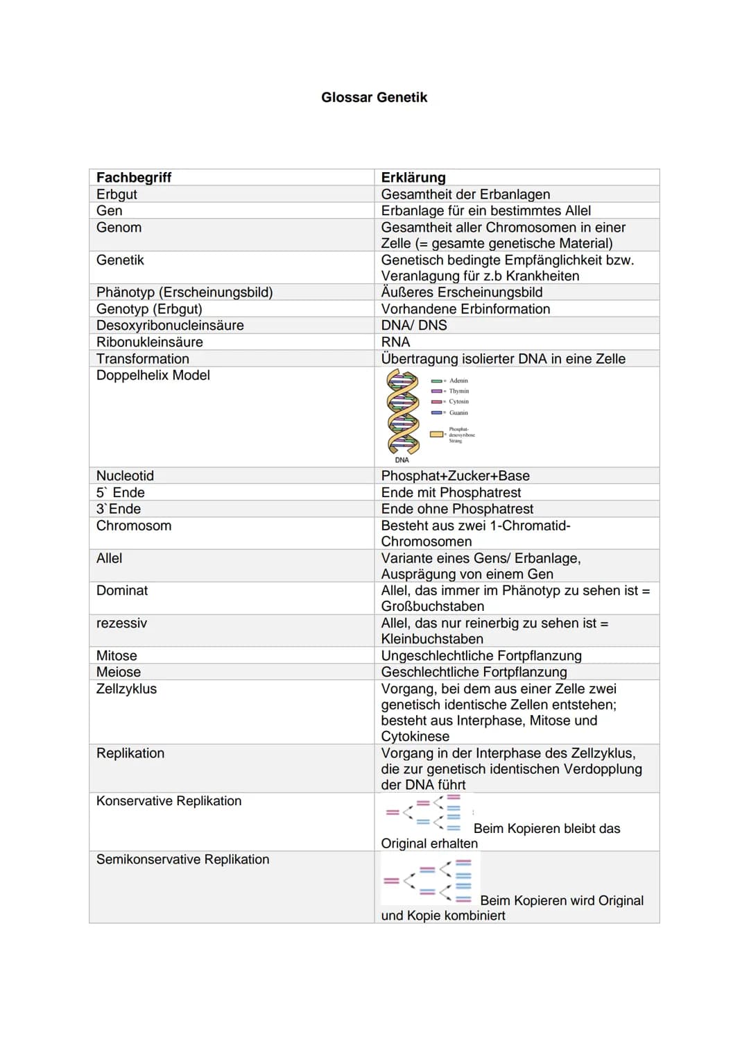 Fachbegriff
Erbgut
Gen
Genom
Genetik
Phänotyp (Erscheinungsbild)
Genotyp (Erbgut)
Desoxyribonucleinsäure
Ribonukleinsäure
Transformation
Dop