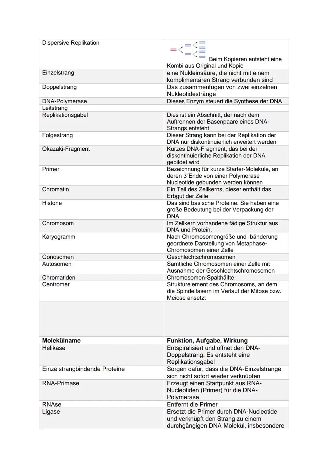 Fachbegriff
Erbgut
Gen
Genom
Genetik
Phänotyp (Erscheinungsbild)
Genotyp (Erbgut)
Desoxyribonucleinsäure
Ribonukleinsäure
Transformation
Dop